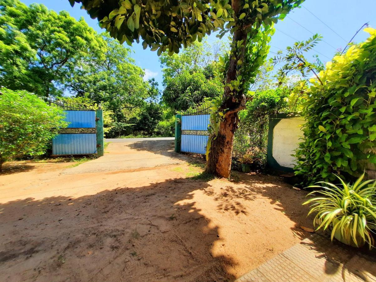 Hostel -In Frant Of The National Park- Udawalawe Exterior photo